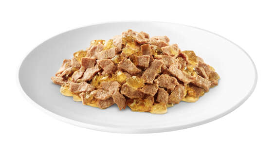 Sheba Katzen-Nassfutter Delicato in Gelee Thunfisch